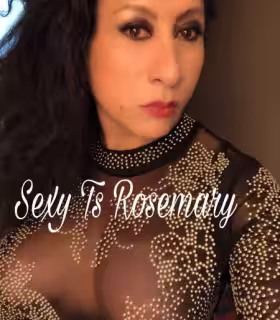 Escort/Massage/S&M TS Marsela / Rosemary in Aurora, IL