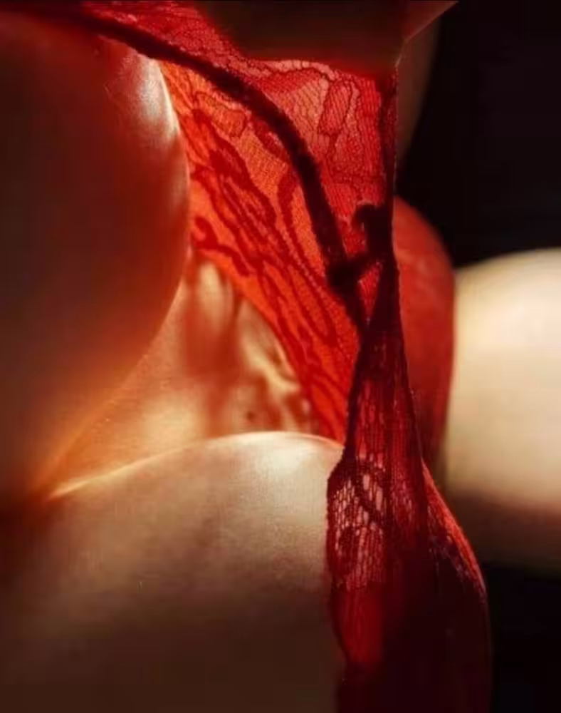 Escort Charlotte in Austin, TX