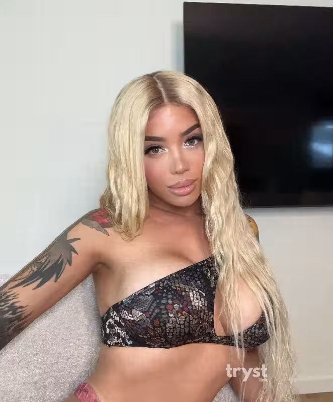 Escort TS Andrea Anaconda in Boston, MA