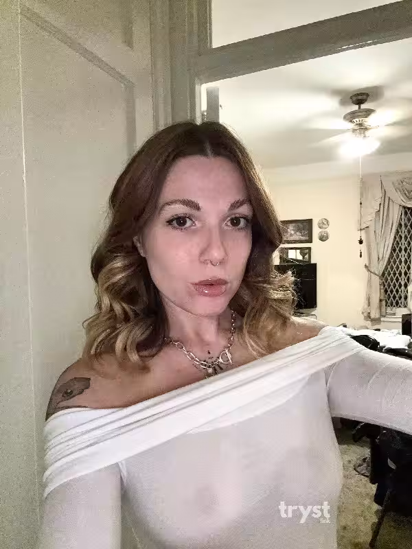 Massage/S&M Harlow Amara in Boston, MA