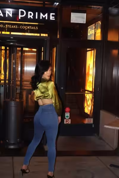 Escort/Massage/S&M TS Fawn Bella in Chicago, IL