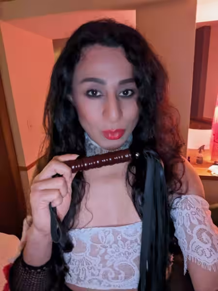 Escort/Massage/S&M TS Nelly / TS Exotic /TS Insatiable / TS Gipsy in Chicago, IL