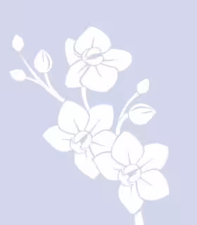 Escort Kimjones4u in Cincinnati, OH