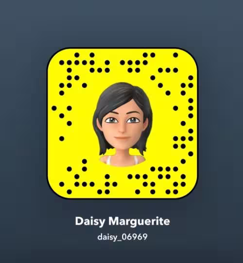 None Daisy in Concord, NH