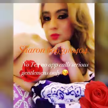 Escort/Massage TS Sharon in Edison, NJ