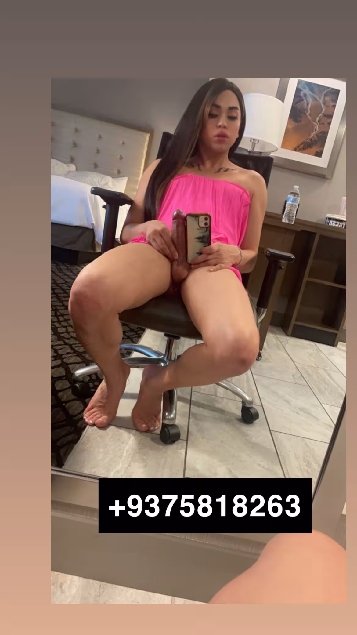 Escort TS Emily / TS Stormy in Fairfax, VA