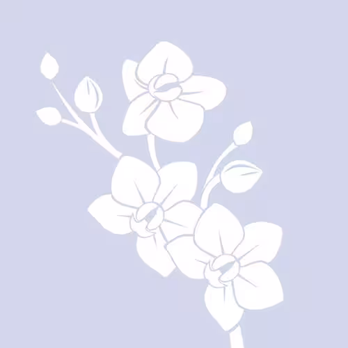 Escort/Massage Sweethoneybee in Fort Worth, TX