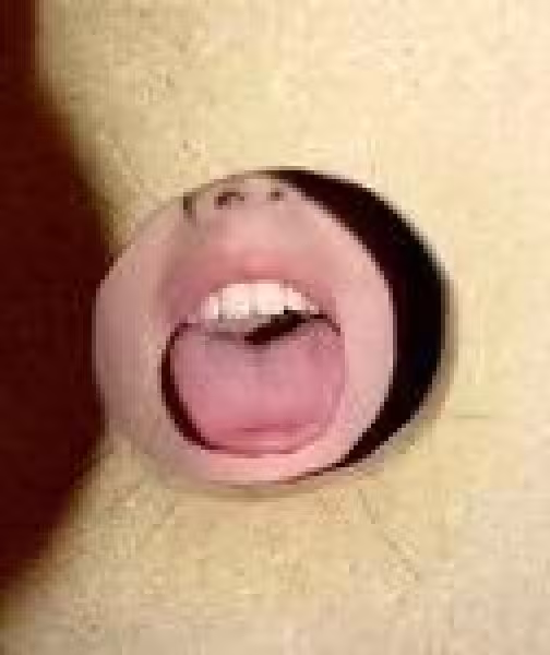 Escort Gloryhole in Grand Rapids, MI