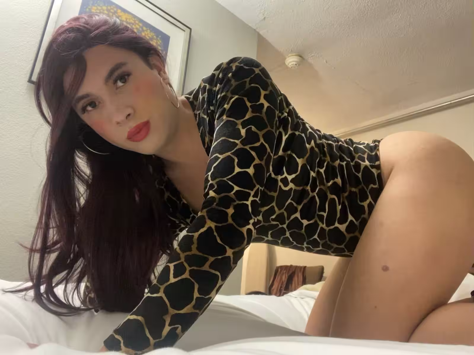 Escort TS Ariana in Hicksville, NY