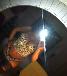 Escort/Massage/S&M TS Basha in Houston, TX