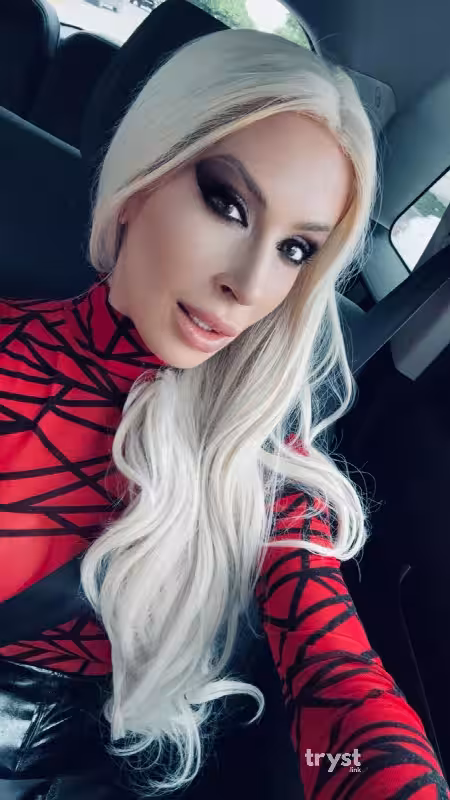 Escort/S&M Ace Andrews in Houston, TX