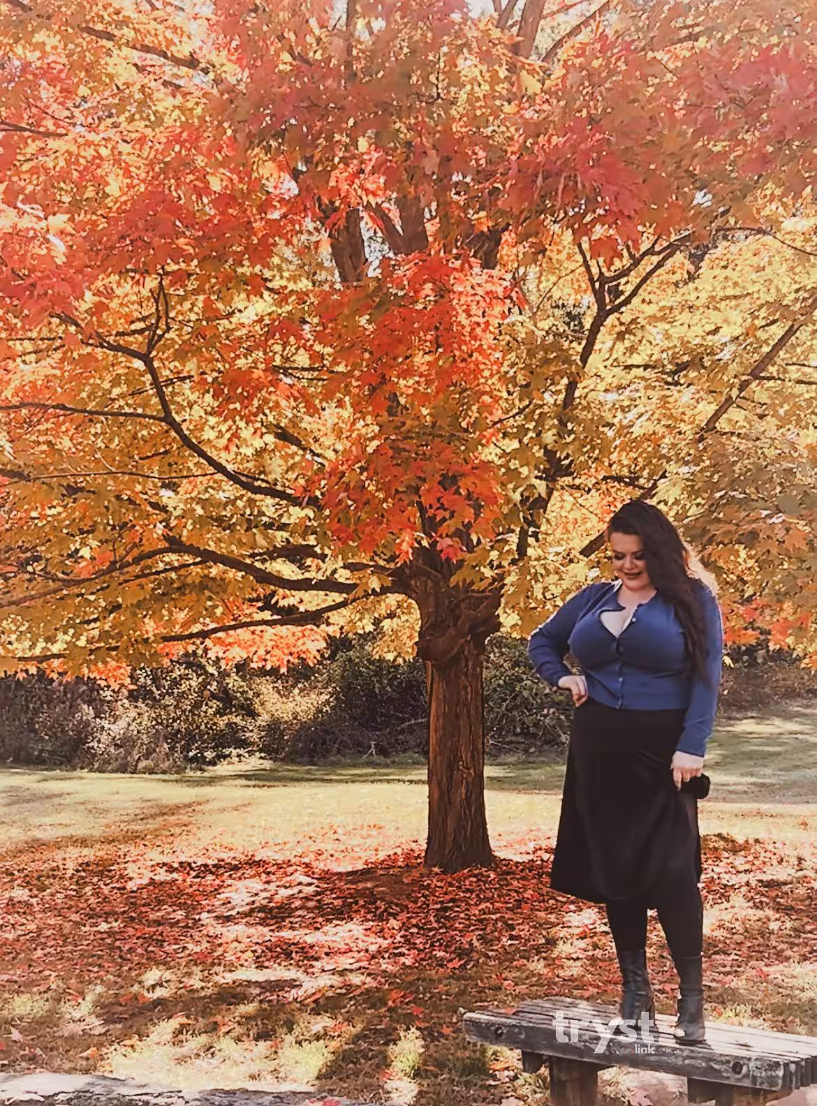 Escort Harmony in Lansing, MI