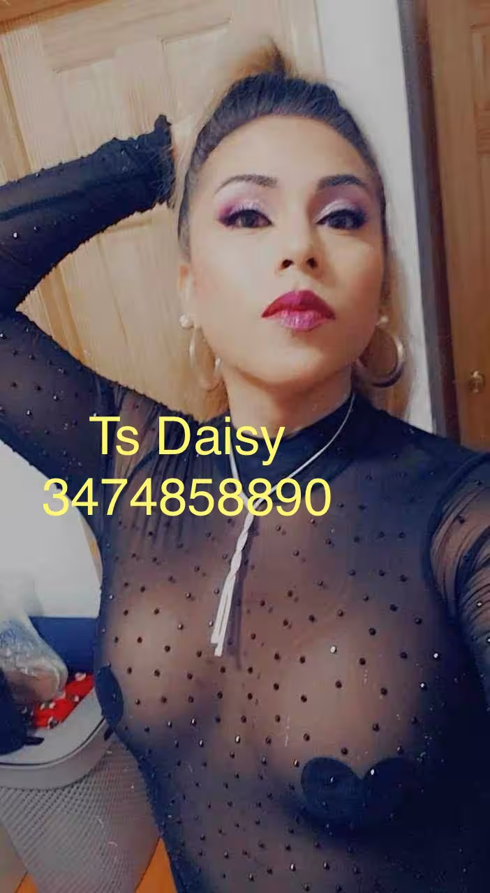 Escort TS Daisy in Long Island, NY