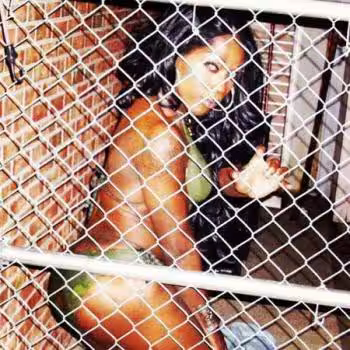 Escort/Massage/S&M TS Jessica Rabbit / Ladonna Foxx in Manassas, VA