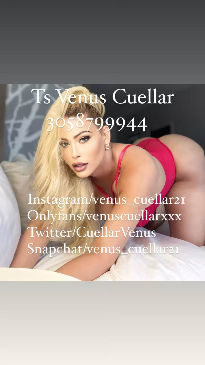 Escort/Massage TS Venus Cuellar in Miami, FL