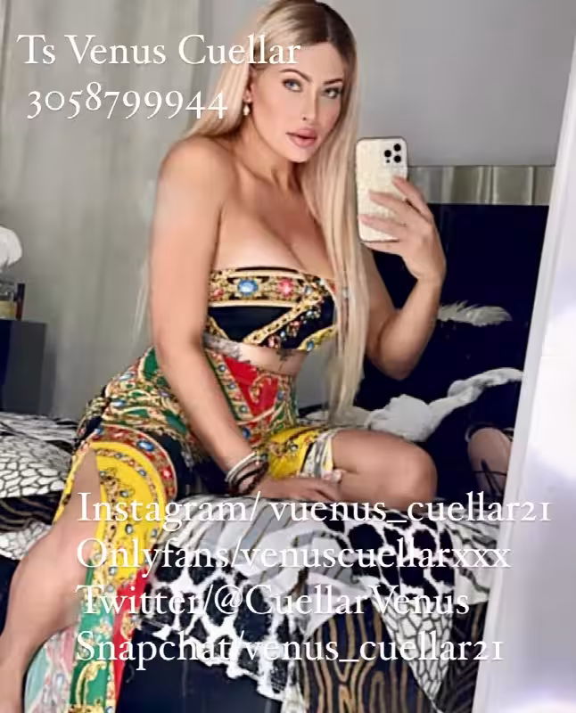 Escort/Massage TS Venus Cuellar in Miami, FL