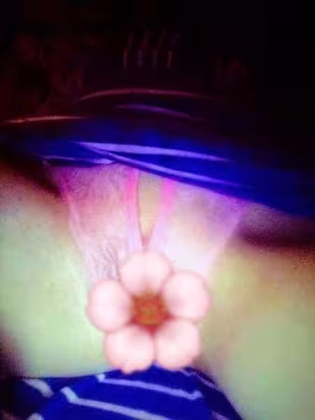 Escort Rainbow in Mount Laurel, NJ