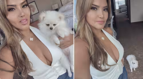 Escort/Massage/S&M Layla Hayek in New York City - Manhattan, NY