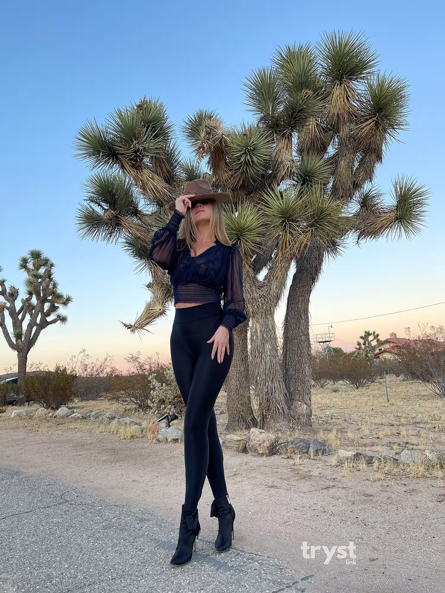 Escort Valerie Elcoquette in Newport Beach, CA