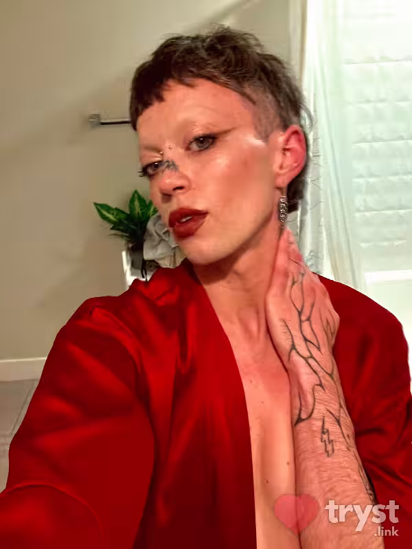 Escort/Massage/S&M Scarlet in North Hollywood, CA