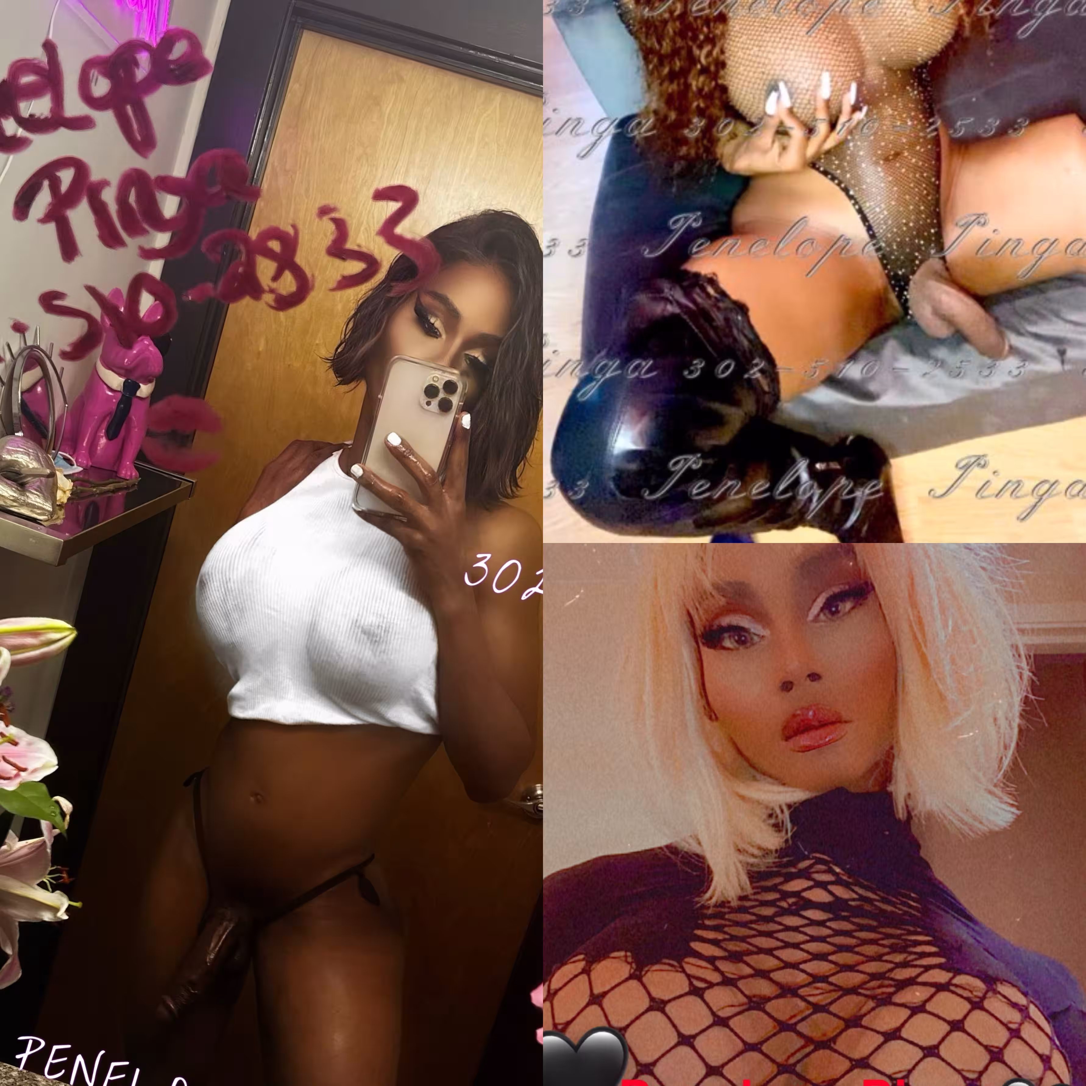 Escort TS Penople Pinga in Orlando, FL