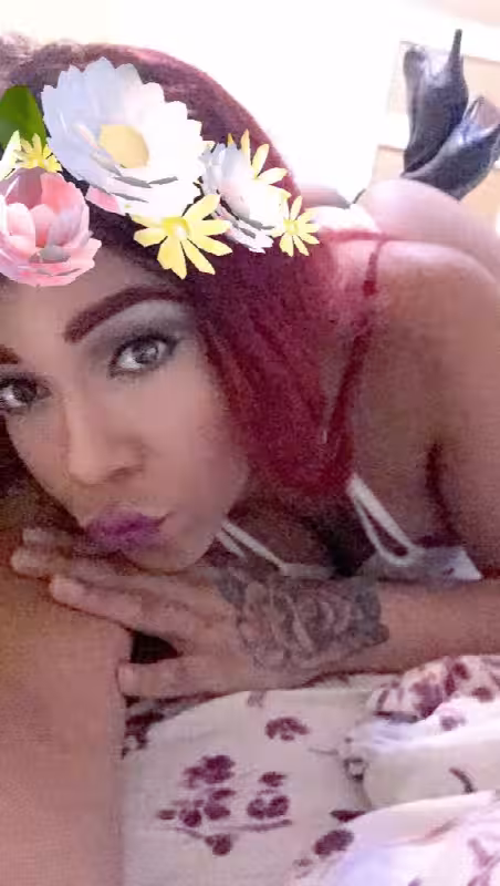 Escort TS Thamara Fox in Parsippany, NJ