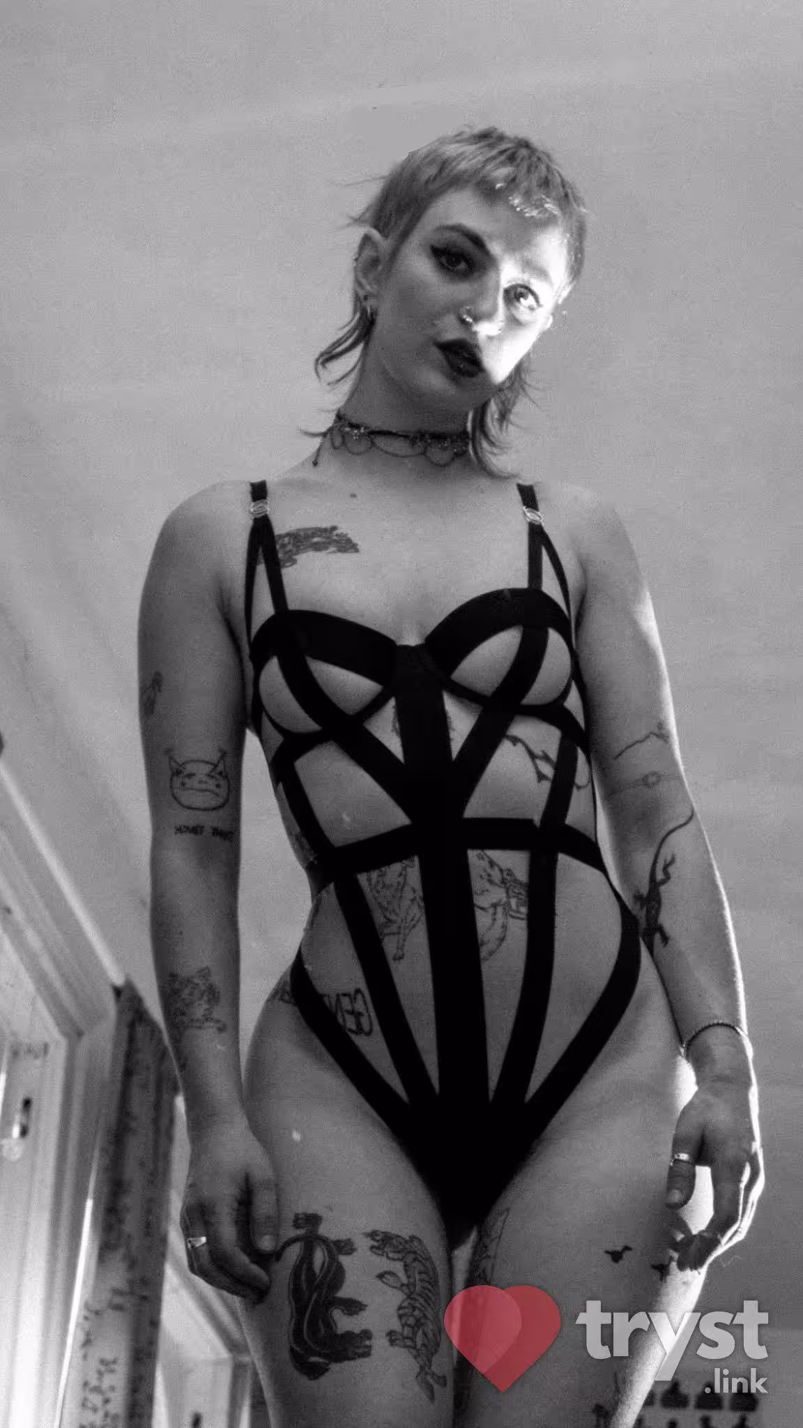 Escort Dylan Cats in Pittsburgh, PA