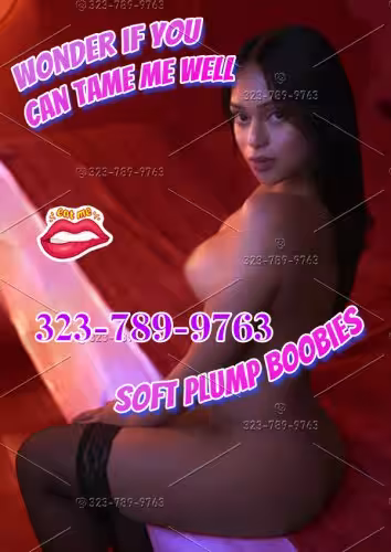 Escort Babe in Richardson, TX