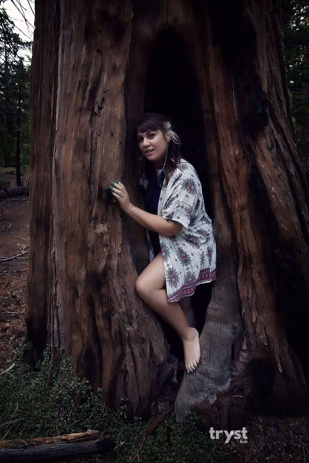 Escort/Massage/S&M Sophia Amelia in San Francisco, CA