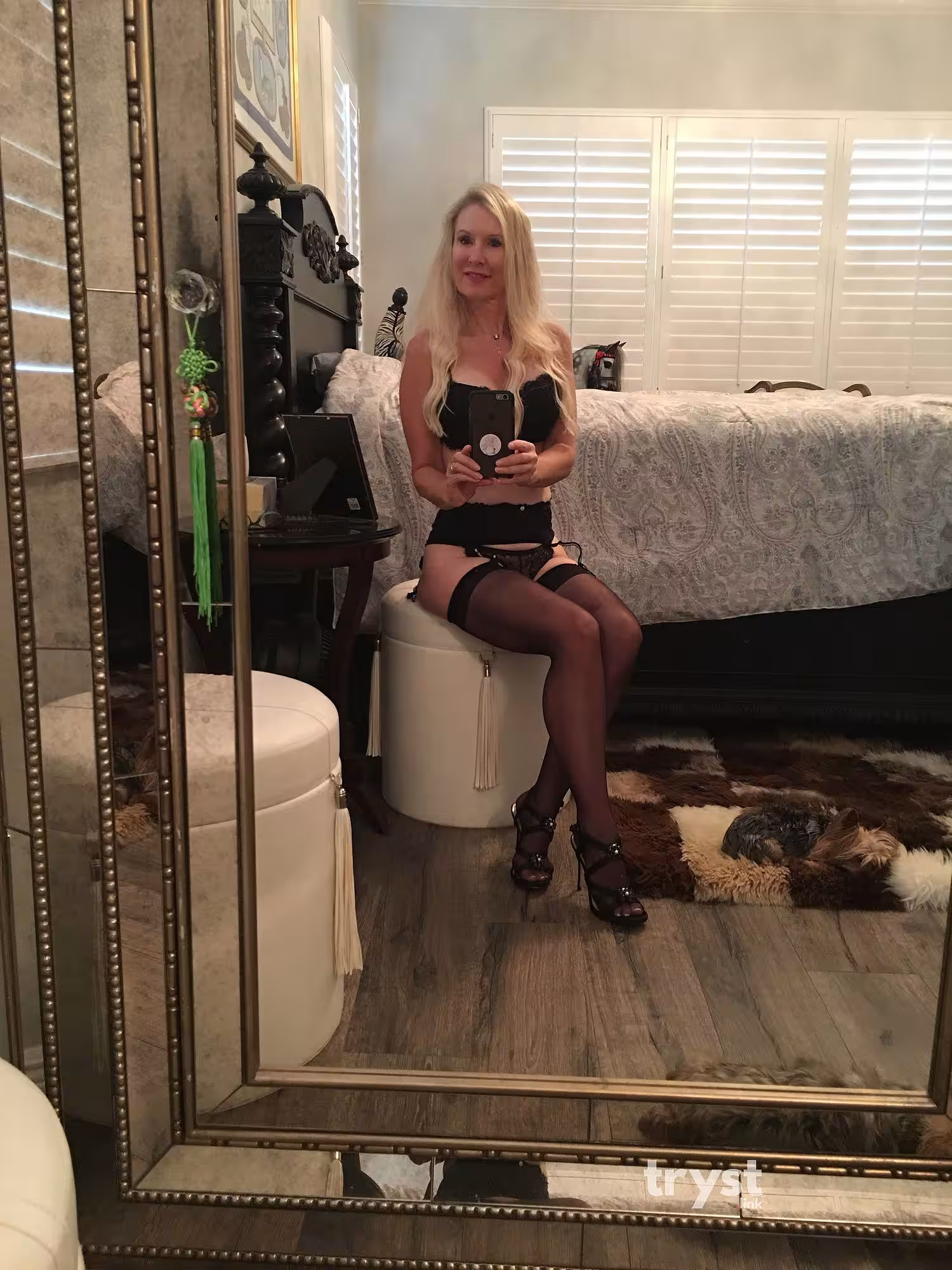 S&M Mistress Taylor in Sarasota, FL