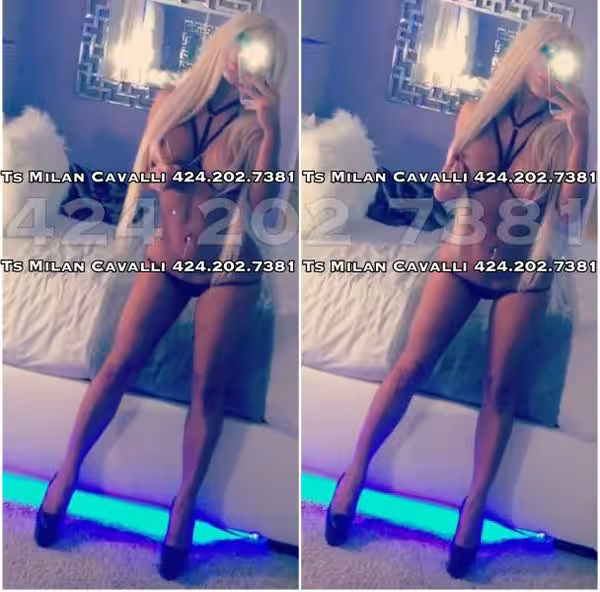 Escort TS Milan Cavalli in Sherman Oaks, CA