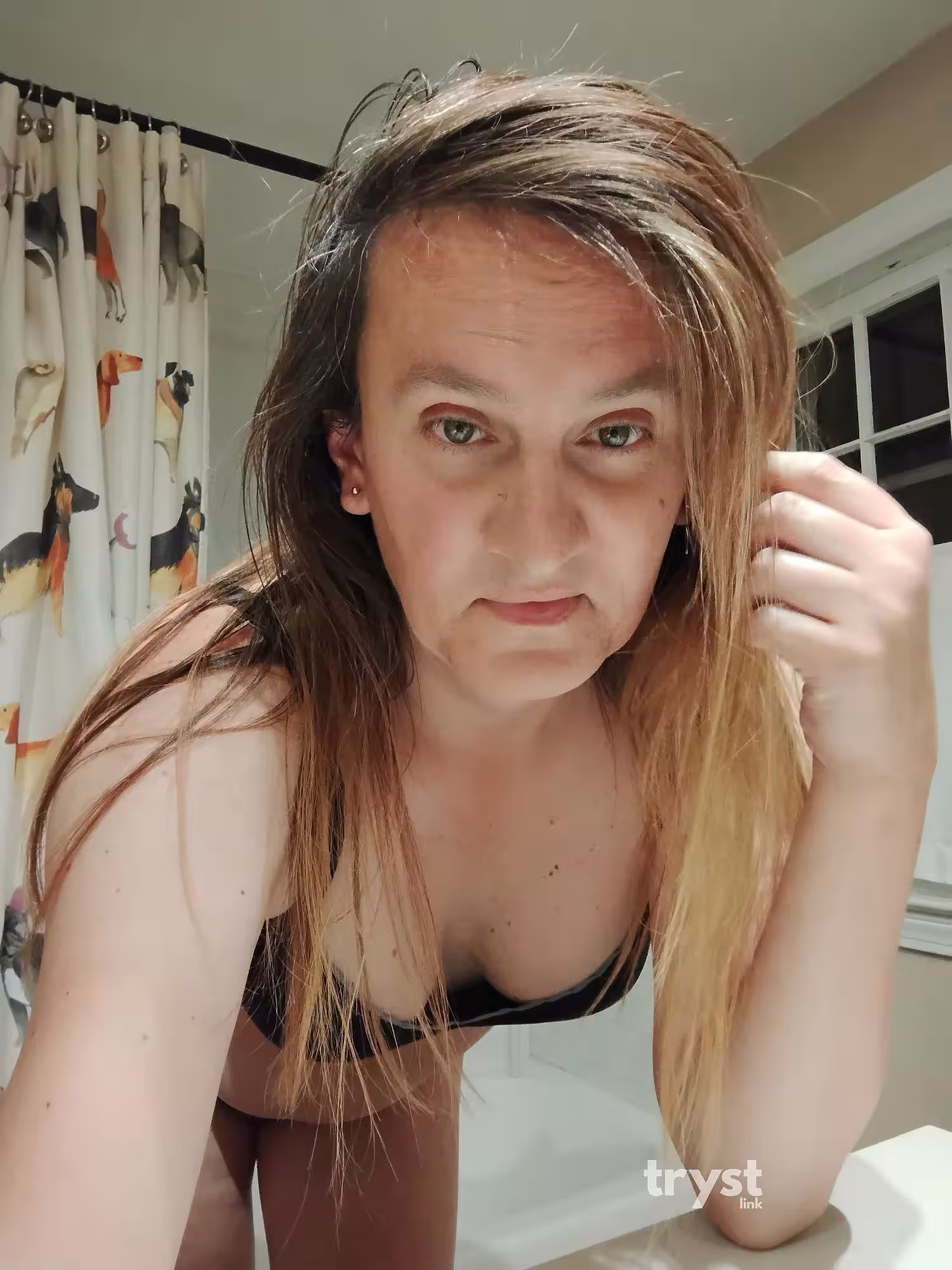 Escort/Massage TS Switchy Bea in Springfield, MA