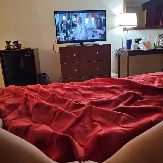 Escort Taylor in St. Petersburg, FL