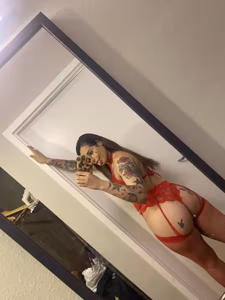 Escort TS Jenny in St. Petersburg, FL