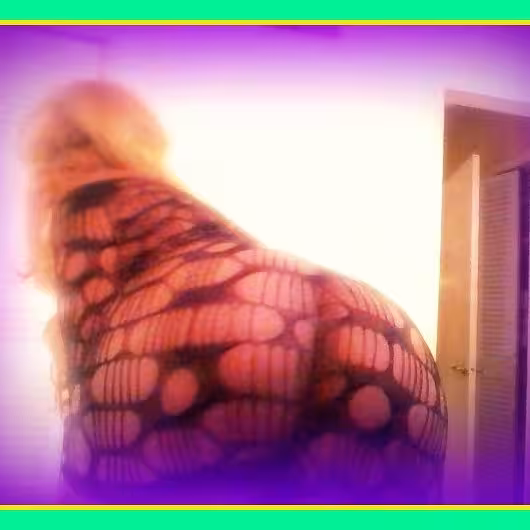 Escort/Massage/S&M TS Jada Jackson in Tampa, FL