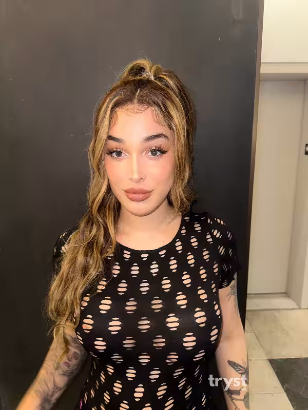 Escort TS Thalia in Tampa, FL