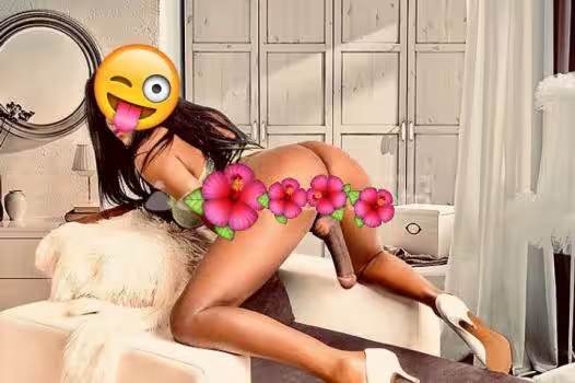 Escort/Massage TS Jessica in The Bronx, NY