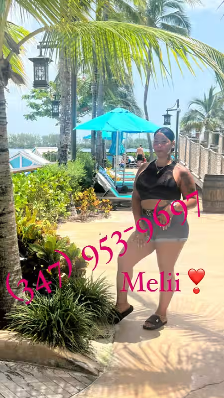 Escort TS Meliisa / Melii in The Bronx, NY