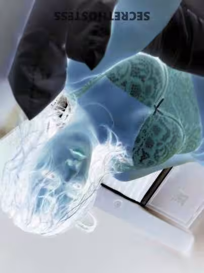 Escort Lil Mama in Toledo, OH