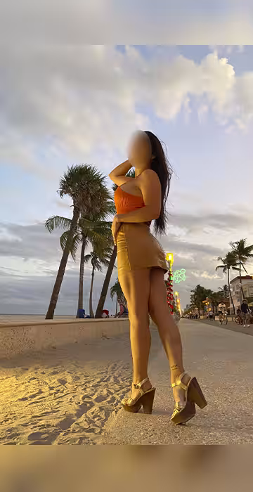 Escort Ashli Rain in Tysons Corner, VA