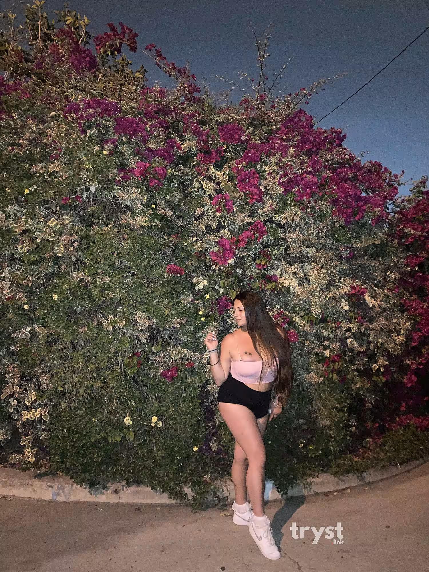 Escort Xenia Hellenic in Waltham, MA